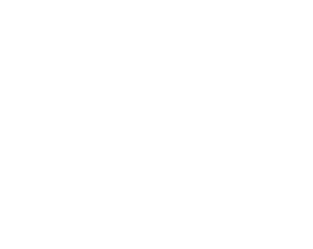 Brogano Shoes